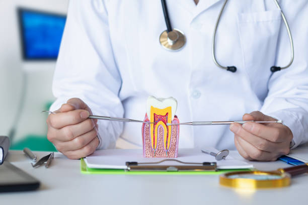Best Emergency Dental Care for Broken or Chipped Teeth in Anaconda, MT